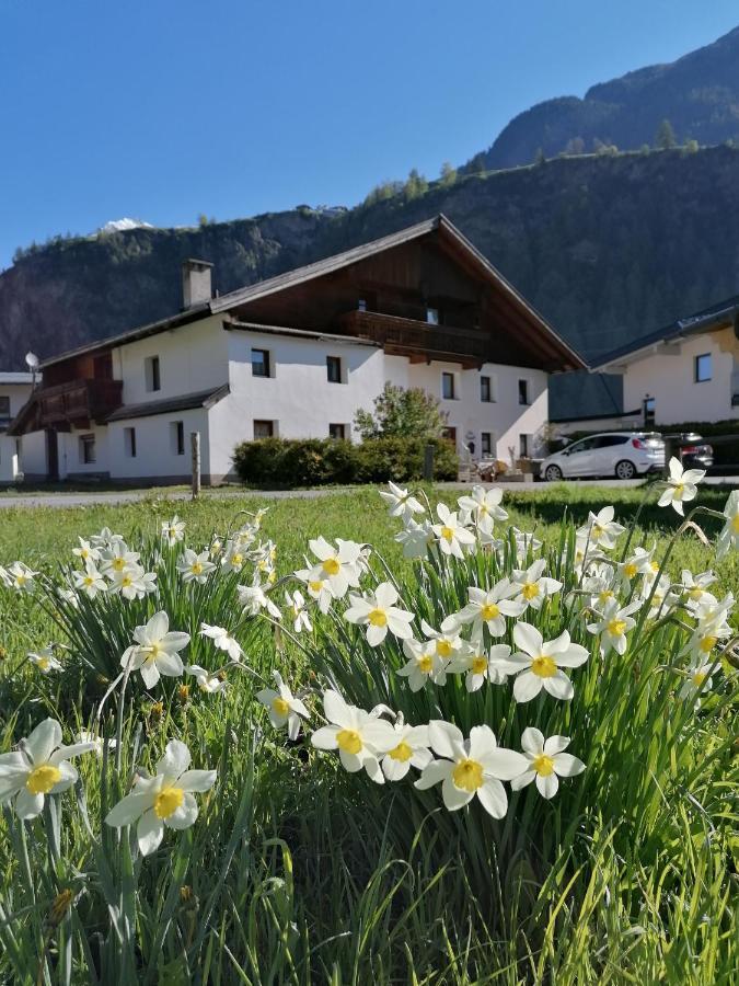 Ferienhaus Schoepf - Die Hoamat Langenfeld Bagian luar foto