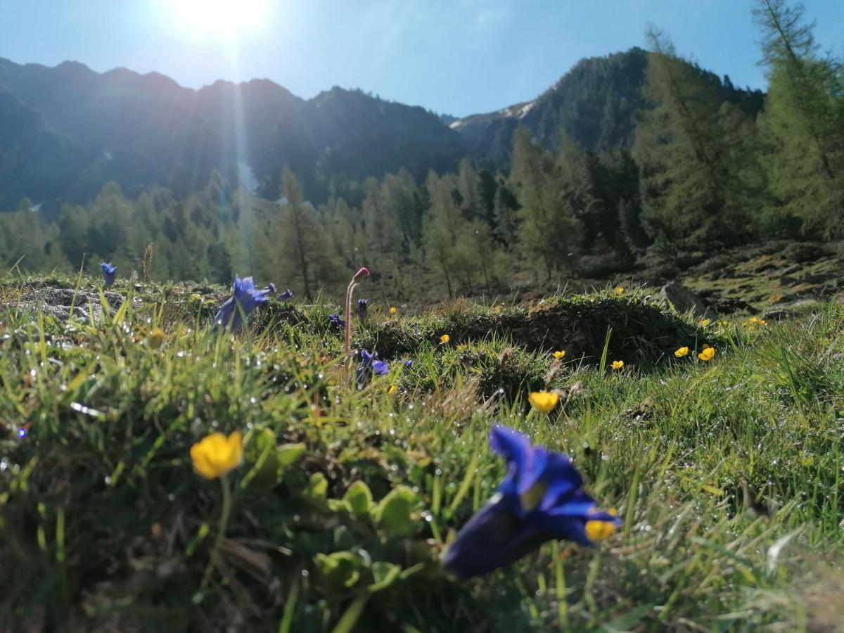 Ferienhaus Schoepf - Die Hoamat Langenfeld Bagian luar foto